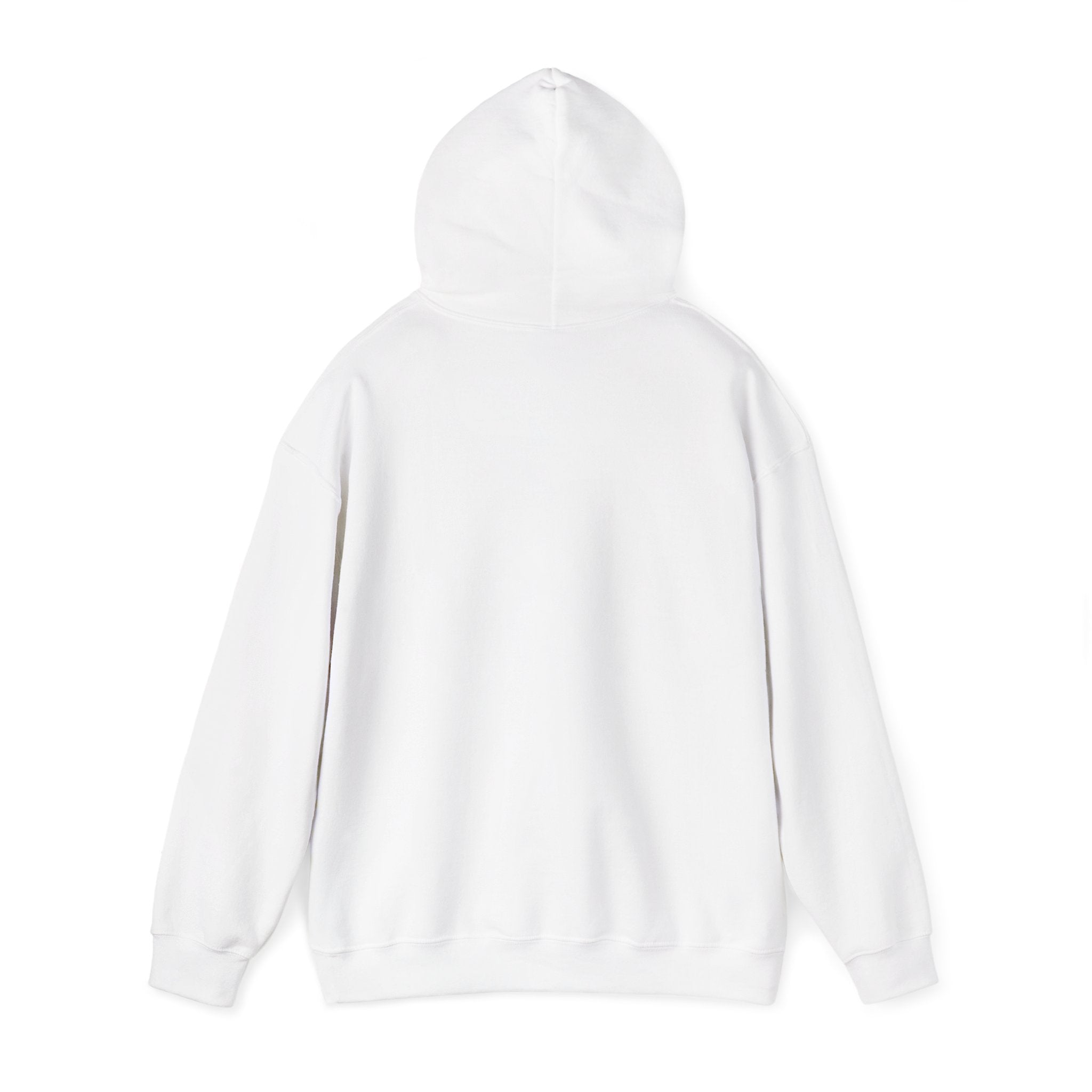 Expat Era Hoodie — Minimal Tropical Sun & Palm Travel Sweatshirt