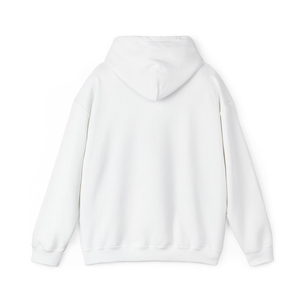 Expat Era Hoodie — Minimal Tropical Sun & Palm Travel Sweatshirt
