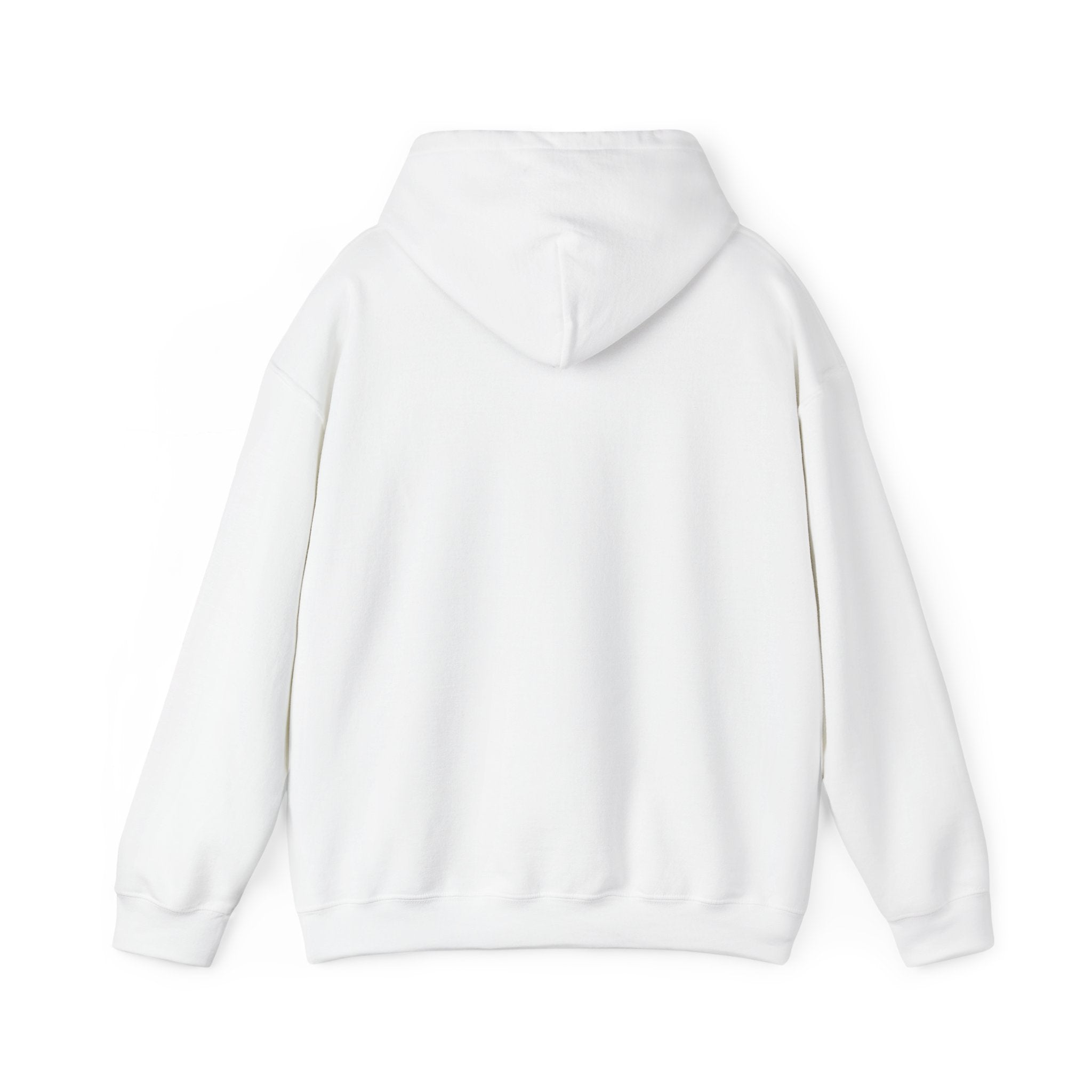Expat Era Hoodie — Minimal Tropical Sun & Palm Travel Sweatshirt