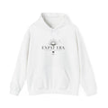 Expat Era Hoodie — Minimal Tropical Sun & Palm Travel Sweatshirt