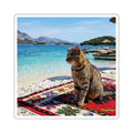Cat on Beach Square Sticker — Scenic Travel Cat Laptop Decal